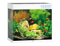 Juwel Aquarium Lido 120 LED пошаговое руководство по запуску аквариума